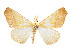 ( - CCDB-37904-H04)  @11 [ ] CreativeCommons - Attribution Share - Alike (2024) CBG Photography Group Centre for Biodiversity Genomics