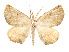  ( - CCDB-37904-H05)  @11 [ ] CreativeCommons - Attribution Share - Alike (2024) CBG Photography Group Centre for Biodiversity Genomics