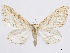  ( - CCDB-37905-G02)  @11 [ ] CreativeCommons - Attribution (2024) CBG Photography Group Centre for Biodiversity Genomics