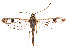  ( - CCDB-37907-G12)  @11 [ ] CreativeCommons - Attribution Share - Alike (2024) CBG Photography Group Centre for Biodiversity Genomics