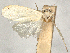  ( - CCDB-37908-H06)  @11 [ ] CreativeCommons - Attribution (2024) CBG Photography Group Centre for Biodiversity Genomics