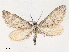  ( - CCDB-39049-H04)  @11 [ ] CreativeCommons - Attribution Share - Alike (2024) CBG Photography Group Centre for Biodiversity Genomics
