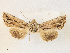  (Riagria - CCDB-39051-A02)  @11 [ ] CreativeCommons - Attribution Share - Alike (2024) CBG Photography Group Centre for Biodiversity Genomics