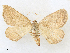  ( - CCDB-39051-A12)  @11 [ ] CreativeCommons - Attribution Share - Alike (2024) CBG Photography Group Centre for Biodiversity Genomics