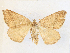  ( - CCDB-39051-B01)  @11 [ ] CreativeCommons - Attribution Share - Alike (2024) CBG Photography Group Centre for Biodiversity Genomics