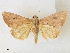  ( - CCDB-39051-F05)  @11 [ ] CreativeCommons - Attribution Share - Alike (2024) CBG Photography Group Centre for Biodiversity Genomics