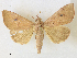  ( - CCDB-39051-F06)  @11 [ ] CreativeCommons - Attribution Share - Alike (2024) CBG Photography Group Centre for Biodiversity Genomics