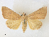  ( - CCDB-39051-F07)  @11 [ ] CreativeCommons - Attribution Share - Alike (2024) CBG Photography Group Centre for Biodiversity Genomics