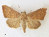  ( - CCDB-39051-F09)  @11 [ ] CreativeCommons - Attribution Share - Alike (2024) CBG Photography Group Centre for Biodiversity Genomics