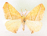  ( - CCDB-39051-H10)  @11 [ ] CreativeCommons - Attribution Share - Alike (2024) CBG Photography Group Centre for Biodiversity Genomics
