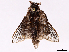  ( - CCDB-39053-B12)  @11 [ ] CreativeCommons - Attribution Share Alike (2024) CBG Photography Group Centre for Biodiversity Genomics