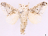  ( - CCDB-39053-D07)  @11 [ ] CreativeCommons - Attribution Share Alike (2024) CBG Photography Group Centre for Biodiversity Genomics