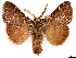  ( - CCDB-39053-F05)  @11 [ ] CreativeCommons - Attribution Share Alike (2024) CBG Photography Group Centre for Biodiversity Genomics