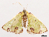  ( - CCDB-39054-A10)  @11 [ ] CreativeCommons - Attribution (2024) CBG Photography Group Centre for Biodiversity Genomics
