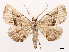  ( - CCDB-39054-C04)  @11 [ ] CreativeCommons - Attribution (2024) CBG Photography Group Centre for Biodiversity Genomics