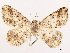  ( - CCDB-39054-E09)  @11 [ ] CreativeCommons - Attribution (2024) CBG Photography Group Centre for Biodiversity Genomics
