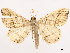  ( - CCDB-39054-E10)  @11 [ ] CreativeCommons - Attribution (2024) CBG Photography Group Centre for Biodiversity Genomics