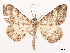  ( - CCDB-39054-E11)  @11 [ ] CreativeCommons - Attribution (2024) CBG Photography Group Centre for Biodiversity Genomics