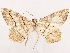  ( - CCDB-39054-F09)  @11 [ ] CreativeCommons - Attribution (2024) CBG Photography Group Centre for Biodiversity Genomics