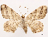  ( - CCDB-39054-F10)  @11 [ ] CreativeCommons - Attribution (2024) CBG Photography Group Centre for Biodiversity Genomics