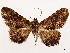 ( - CCDB-39054-H08)  @11 [ ] CreativeCommons - Attribution (2024) CBG Photography Group Centre for Biodiversity Genomics