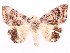  ( - CCDB-39056-D12)  @11 [ ] CreativeCommons - Attribution Share-Alike (2024) CBG Photography Group Centre for Biodiversity Genomics