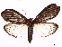  ( - CCDB-39057-G05)  @11 [ ] CreativeCommons - Attribution Share Alike (2024) CBG Photography Group Centre for Biodiversity Genomics