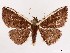  ( - CCDB-39058-A12)  @11 [ ] CreativeCommons - Attribution Share-Alike (2024) CBG Photography Group Centre for Biodiversity Genomics