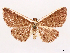  ( - CCDB-39058-B03)  @11 [ ] CreativeCommons - Attribution Share-Alike (2024) CBG Photography Group Centre for Biodiversity Genomics