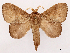  ( - CCDB-39058-G03)  @11 [ ] CreativeCommons - Attribution Share-Alike (2024) CBG Photography Group Centre for Biodiversity Genomics