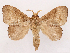  ( - CCDB-39058-G04)  @11 [ ] CreativeCommons - Attribution Share-Alike (2024) CBG Photography Group Centre for Biodiversity Genomics