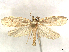  ( - CCDB-39060-D02)  @11 [ ] CreativeCommons - Attribution (2024) CBG Photography Group Centre for Biodiversity Genomics