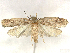  ( - CCDB-39060-D03)  @11 [ ] CreativeCommons - Attribution (2024) CBG Photography Group Centre for Biodiversity Genomics