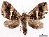  ( - CCDB-39060-E07)  @11 [ ] CreativeCommons - Attribution (2024) CBG Photography Group Centre for Biodiversity Genomics