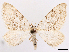  ( - CCDB-39060-G08)  @11 [ ] CreativeCommons - Attribution (2024) CBG Photography Group Centre for Biodiversity Genomics