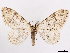  ( - CCDB-39060-G10)  @11 [ ] CreativeCommons - Attribution (2024) CBG Photography Group Centre for Biodiversity Genomics