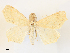  ( - CCDB-45156-C02)  @11 [ ] CreativeCommons - Attribution Share - Alike (2024) CBG Photography Group Centre for Biodiversity Genomics