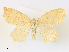  ( - CCDB-45156-C03)  @11 [ ] CreativeCommons - Attribution Share - Alike (2024) CBG Photography Group Centre for Biodiversity Genomics