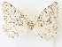  ( - CCDB-45156-C07)  @11 [ ] CreativeCommons - Attribution Share - Alike (2024) CBG Photography Group Centre for Biodiversity Genomics