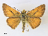  ( - CCDB-45156-F06)  @11 [ ] CreativeCommons - Attribution Share - Alike (2024) CBG Photography Group Centre for Biodiversity Genomics
