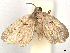  ( - CCDB-45162-D10)  @11 [ ] CreativeCommons - Attribution (2024) CBG Photography Group Centre for Biodiversity Genomics