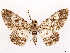  ( - CCDB-45162-E08)  @11 [ ] CreativeCommons - Attribution (2024) CBG Photography Group Centre for Biodiversity Genomics