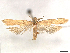  ( - CCDB-45162-H11)  @11 [ ] CreativeCommons - Attribution (2024) CBG Photography Group Centre for Biodiversity Genomics