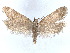  ( - CCDB-45163-A06)  @11 [ ] CreativeCommons - Attribution (2024) CBG Photography Group Centre for Biodiversity Genomics