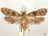  ( - CCDB-45164-B01)  @11 [ ] CreativeCommons - Attribution (2024) CBG Photography Group Centre for Biodiversity Genomics