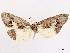  ( - CCDB-45164-B12)  @11 [ ] CreativeCommons - Attribution (2024) CBG Photography Group Centre for Biodiversity Genomics