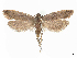  ( - CCDB-45165-B11)  @11 [ ] CreativeCommons - Attribution (2024) CBG Photography Group Centre for Biodiversity Genomics