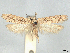  ( - CCDB-45165-C03)  @11 [ ] CreativeCommons - Attribution (2024) CBG Photography Group Centre for Biodiversity Genomics