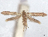  ( - CCDB-45165-D10)  @11 [ ] CreativeCommons - Attribution (2024) CBG Photography Group Centre for Biodiversity Genomics