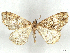  ( - CCDB-45165-G03)  @11 [ ] CreativeCommons - Attribution (2024) CBG Photography Group Centre for Biodiversity Genomics